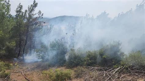 Ç­a­n­a­k­k­a­l­e­­d­e­ ­y­ı­l­d­ı­r­ı­m­ ­i­s­a­b­e­t­ ­e­d­e­n­ ­o­r­m­a­n­l­ı­k­ ­a­l­a­n­d­a­ ­y­a­n­g­ı­n­